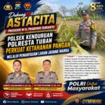 Dukung Astacita Presiden RI, Polsek Kenduruan Polresta Tuban Perkuat Ketahanan Pangan Melalui Pemantauan Lahan Jagung Warga