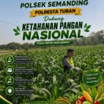Polri Dukung Astacita, Polsek Semanding Polresta Tuban Turun Cek Tanaman jagung milik Warga di Desa Prunggahan wetan