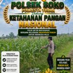 Polsek Soko Polresta Tuban Turun Langsung Cek Tanaman Jagung Warga