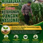 Polri Dukung Astacita, Polsek Merakurak Polres Tuban Turun Cek Tanaman Jagung Warga di Desa Tuwiri Kulon