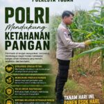 Dukung Astacita, Polsek Palang Polresta Tuban Pantau Langsung Lahan Jagung milik warga Desa Ketambul