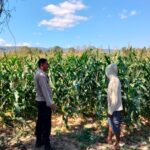 Bhabinkamtibmas Desa Cempi Jaya Sambangi Petani, Imbau Warga Tidak Gunakan Jaring Kawat Beraliran Listrik