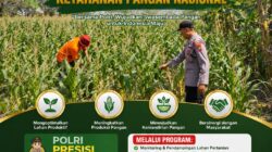 DUKUNG ASTA CITA, ANGGOTA POLSEK KEREK PANTAU AKTIVITAS PETANI JAGUNG DI DESA BINAAN