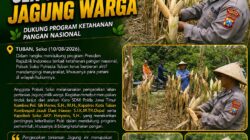 Polsek Soko Polresta Tuban Turun Langsung Cek Tanaman Jagung Warga