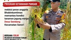 Guna Mendukung Ketahanan Pangan Nasional Anggota Bhabinkamtibmas Polsek Senori Polresta Tuban Monitoring Kondisi Tanaman Jagung di Desa Sendang