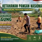 Polsek Montong Polresta Tuban Turun Cek Tanaman jagung Warga di Desa Pakel