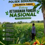 Polri Dukung Astacita, Polsek Semanding Polresta Tuban Turun Cek Tanaman jagung milik Warga di Desa Semanding