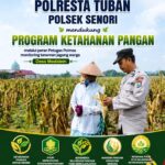 Mendukung Program Ketahanan Pangan Nasional Anggota Polmas Polsek Senori Polresta Tuban Memantau Tanaman Jagung Milik Warga Desa Medalem