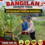 POLSEK BANGILAN DUKUNG KETAHANAN PANGAN