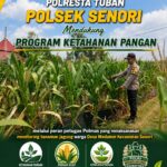 Polisi RW Polsek Senori Polresta Tuban Monitoring Tanaman Jagung Milik Warga Desa Medalem Guna Mendukung Program Ketahanan Pangan