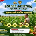 Polsek Jatirogo Turun ke Lahan produktif Desa Jombok Wujudkan Dukungan Astacita Swasembada Pangan