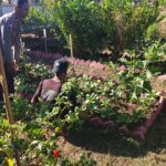 Dukung Program Asta Cita Ketahanan Pangan, Bhabinkamtibmas Desa Pelat Dorong Warga Manfaatkan Lahan Produktif