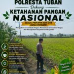Polri Dukung Astacita, Polsek Merakurak Polres Tuban Turun Cek Tanaman Jagung Warga di Desa Tuwiri Wetan