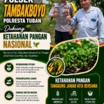 Polsek Tambakboyo Polres Tuban Turun Cek Tanaman jagung Warga di Desa Ngulahan