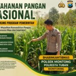 Polsek Montong Polresta Tuban Turun Cek Tanaman jagung Warga di Desa Bringin