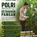 Polri Dukung Astacita, Polsek Merakurak Polres Tuban Turun Cek Tanaman Jagung Warga di Desa Tuwiri Wetan
