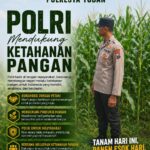 Polsek Singgahan Polresta Tuban Turun Cek Tanaman jagung Warga di Desa Tingkis