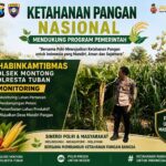 Polsek Montong Polresta Tuban Turun Cek Tanaman jagung Warga di Desa Bringin