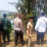 Tanggap Bencana, Aksi Cepat Tim Gabungan Amankan Bukit Korea Lombok