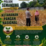 Polri Dukung Astacita, Polsek Semanding Polresta Tuban Turun Cek Tanaman jagung milik Warga di Desa Jadi