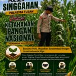 Polsek Singgahan Polresta Tuban Turun Cek Tanaman jagung Warga di Desa Tingkis