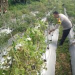 Bhabinkamtibmas Masbagik Selatan Cek Lahan Ketahanan Pangan Bergizi