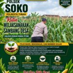 Polsek Soko Polresta Tuban Turun Langsung Cek Tanaman Jagung Warga