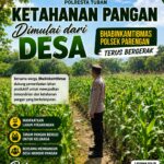 POLRI MENDUKUNG PROGRAM ASTACITA PRESIDEN RI, ANGGOTA POLSEK PARENGAN POLRESTA TUBAN LAKSANAKAN PENDAMPINGAN PETANI JAGUNG DI DESA SUKOREJO KEC. PARENGAN
