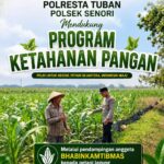 Anggota Bhabinkamtibmas Polsek Senori Polresta Tuban Monitoring Tanaman Jagung Warga Desa Jatisari Guna Mendukung Program Ketahanan Pangan Nasional