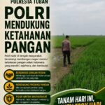 Polri Dukung Astacita, Polsek Merakurak Polres Tuban Turun Cek Tanaman Jagung Warga di Desa Tuwiri Wetan