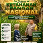 Polsek Plumpang Polresta Tuban Turun Langsung Cek Tanaman Jagung Warga