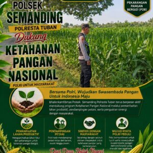 Polri Dukung Astacita, Polsek Semanding Polresta Tuban Turun Cek Tanaman jagung milik Warga di Desa Sambongrejo