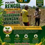 Polri Dukung Astacita, Polsek Rengel Polresta Tuban Turun Cek Tanaman Jagung Warga di Desa Rengel