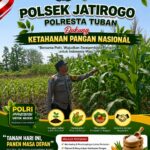 Dukung Asta Cita, Polsek Jatirogo Turun Langsung Pantau Ladang Jagung Warga Desa Jatiklabang