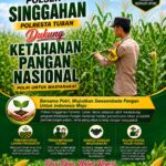 Polsek Singgahan Polresta Tuban Turun Cek Tanaman jagung Warga di Desa Tingkis