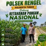 Polsek Plumpang Polresta Tuban Turun Langsung Cek Tanaman Jagung Warga