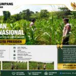 Polri Dukung Astacita, Polsek Rengel Polresta Tuban Turun Cek Tanaman Jagung Warga di Desa Sawahan