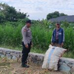 Memperkuat Ketahanan Pangan Desa, Bhabinkamtibmas Polsek Labuapi Turun Sawah Sapa Petani Karang Bongkot
