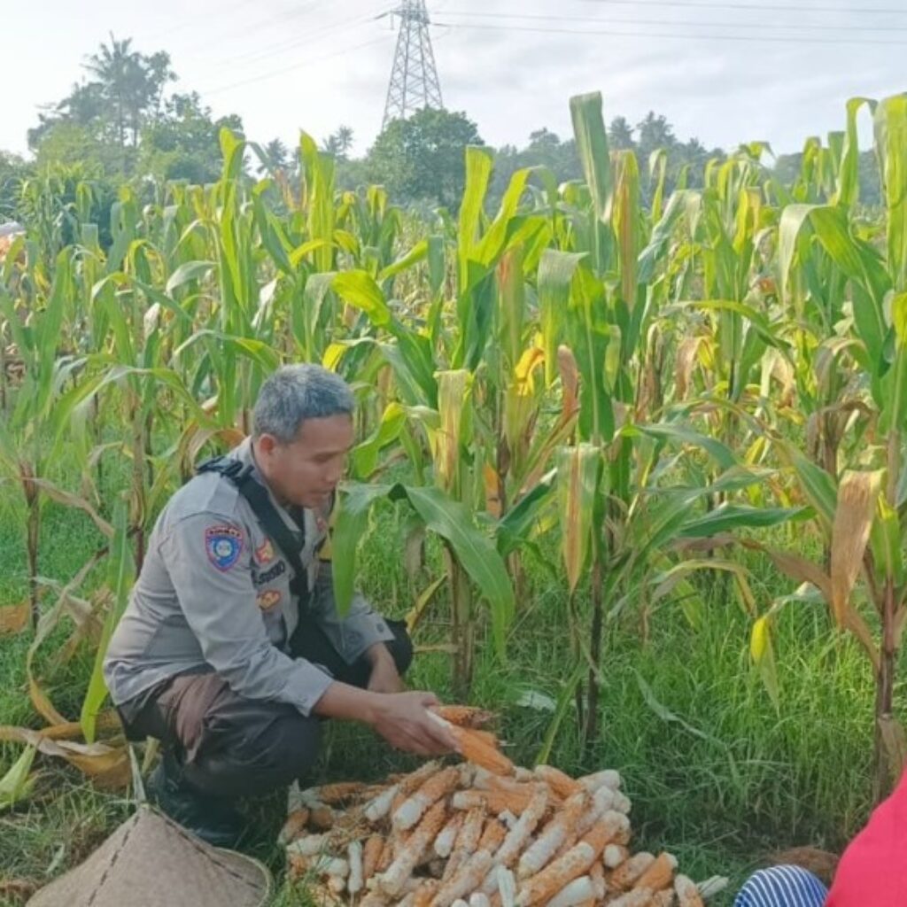 Solusi Tekan Inflasi Dapur, Polsek Batulayar Ajak Warga Maksimalkan Pelevelan Pekarangan