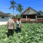 Bhabinkamtibmas Desa Masbagik Utara Sambangi Petani, Dukung Ketahanan Pangan dan Swasembada Pangan
