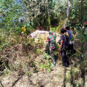 Lahan Wakaf Terbakar, TNI-Polri, Damkar dan Warga Bergerak Cepat