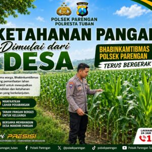 Anggota Polsek Singgahan Polresta Tuban Turun Cek Tanaman jagung Warga di Desa Tingkis