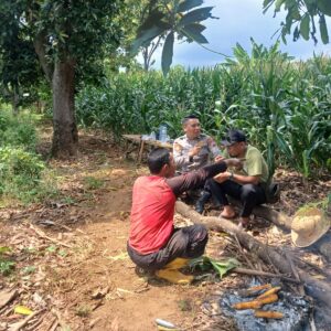 Dukung Ketahanan Pangan, Polsek Tambakboyo Sinergi dengan Petani Jagung di Ladang