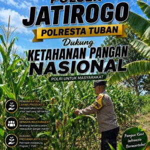 Kawal Swasembada Pangan, Polsek Jatirogo Pantau Langsung Tanaman Jagung di Dingil