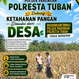 DUKUNG KETAHANAN PANGAN, ANGGOTA POLSEK PARENGAN POLRESTA TUBAN LAKSANAKAN SAMBANG DAN PENDAMPINGAN PANEN JAGUNG DESA SUKOREJO KEC. PARENGAN