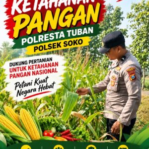 Polsek Soko Polresta Tuban Turun Langsung Cek Tanaman Jagung Warga