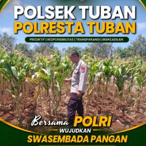 Dukung Ketahanan Pangan Nasional, Polsek Bangilan Monitoring Tanaman Jagung