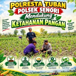 Unit Binmas Polsek Senori Polresta Tuban Memantau Tanaman Jagung Milik Warga Desa Kaligede Kecamatan Senori Guna Mendukung Program Ketahanan Pangan