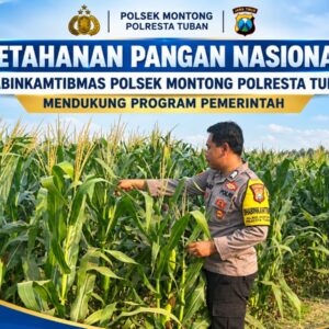 Polsek Montong Polresta Tuban Turun Cek Tanaman jagung Warga di Desa Pucangan