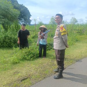 Bhabinkamtibmas Sorinomo Dorong Warga Rawat Tanaman Jagung dan Manfaatkan Pekarangan Dukung Ketahanan Pangan